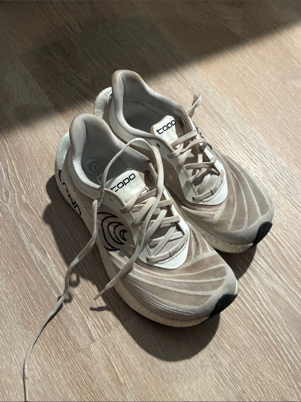 Topo Cyclone